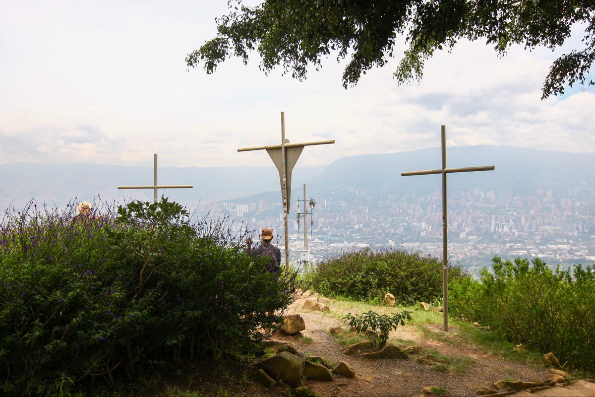 ReFi Medellín (🌳, 🌱) tweet media