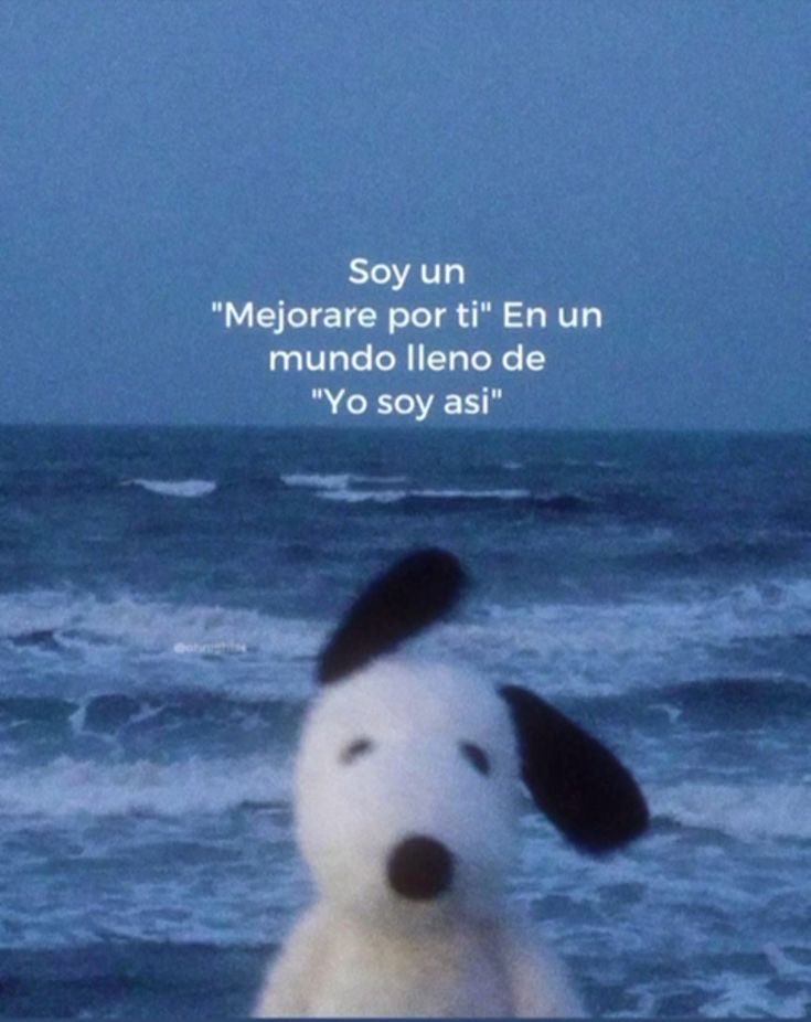 🌙 mini textos (@soyminitextos) on Twitter photo 