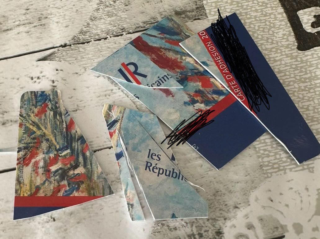 Lola___Elis's tweet photo. Voilà ce que je reçois tous les jours : des cartes d’adhérents LR déchirées ! 

🇫🇷Face à la trahison de vos chefs : @jeunesreps, rejoignez l’union pour la France, rejoignez @partiudr avec @eciotti ! https://t.co/ntZA21fzaR