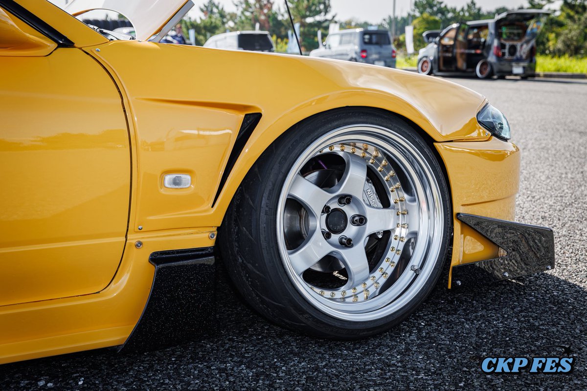 タイガ🍋 tweet media