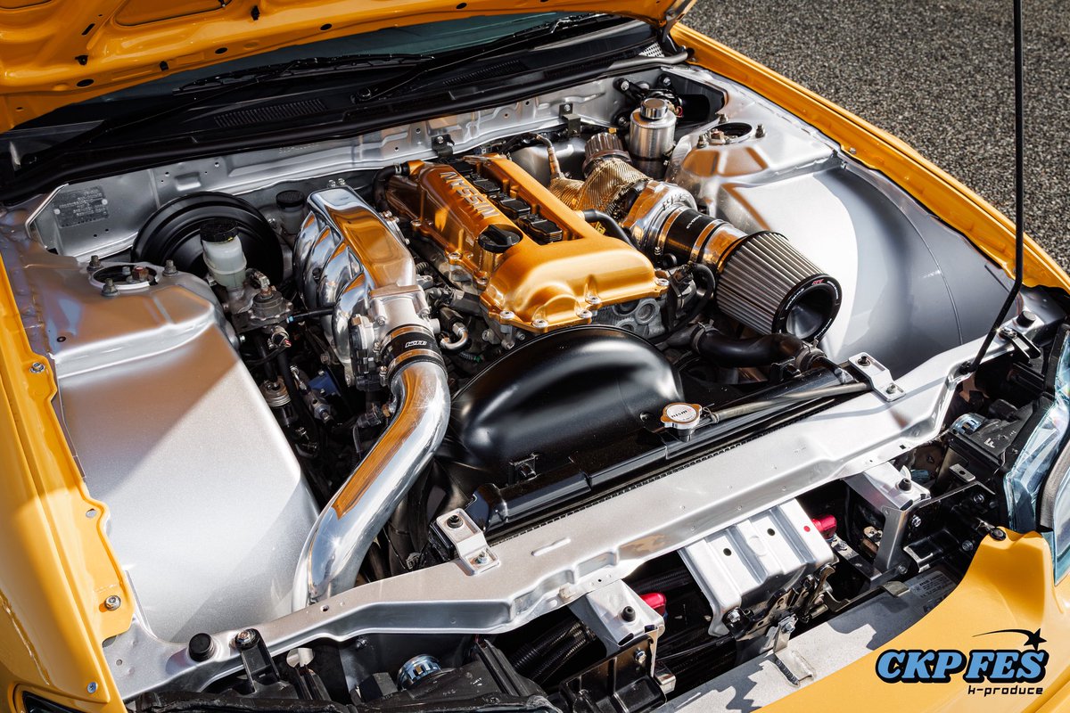 タイガ🍋 tweet media