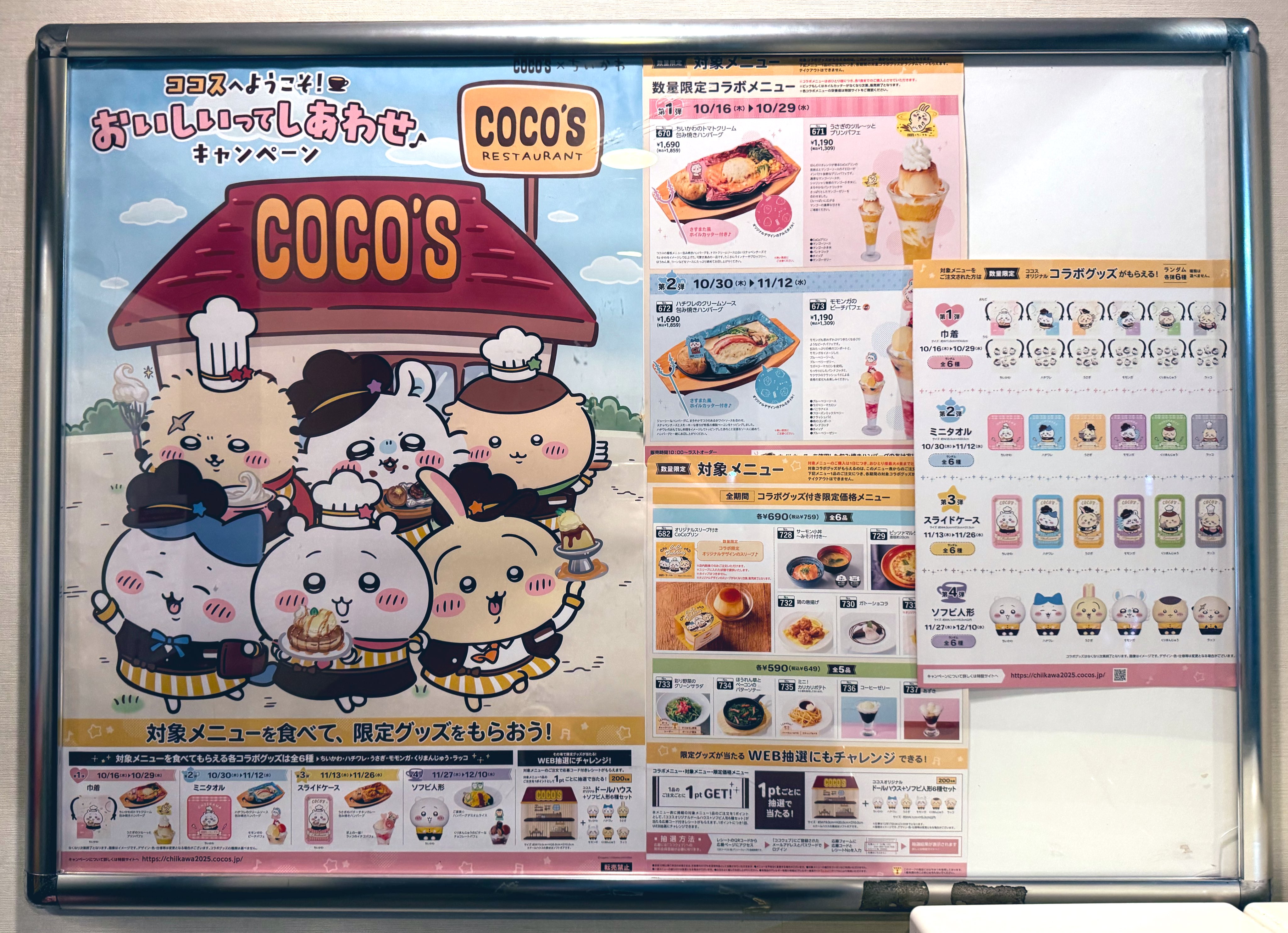 【ぽんちゃん】 ぽんちゃん🐶 (@mijyupon0726) / X