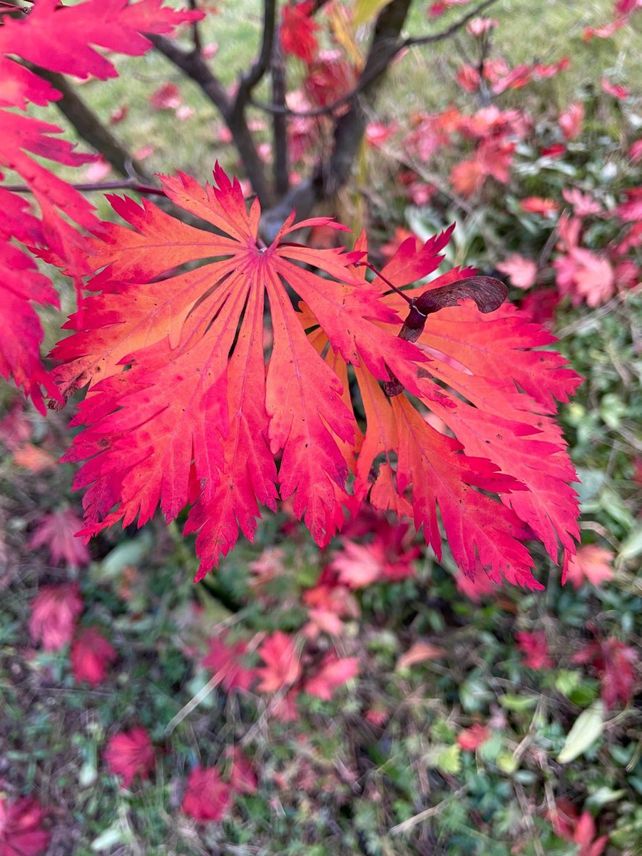 However quietly we speak, 
He is so near that 
He will hear us: 
we need no wings to go
in search of Him 
but have only to find a place 
where we can be alone and 
look upon Him present within us.
Teresa of Avila