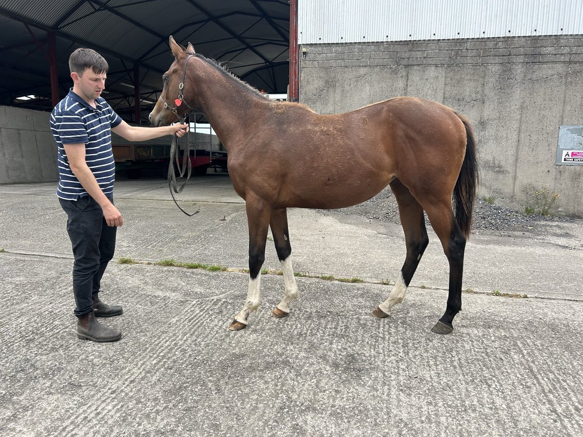 John Bourke tweet media