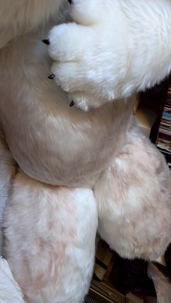 #おなか触りたい人いいね