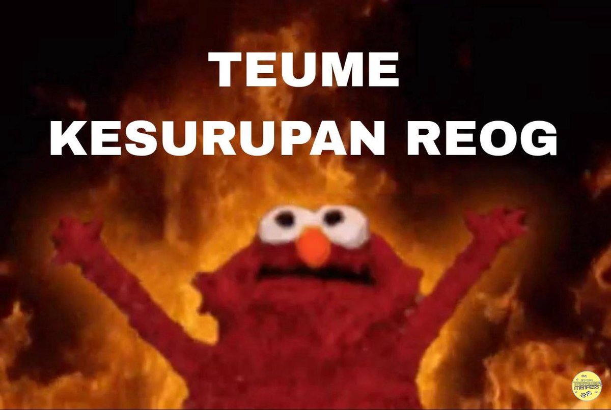 TEUME! 💛 tweet media