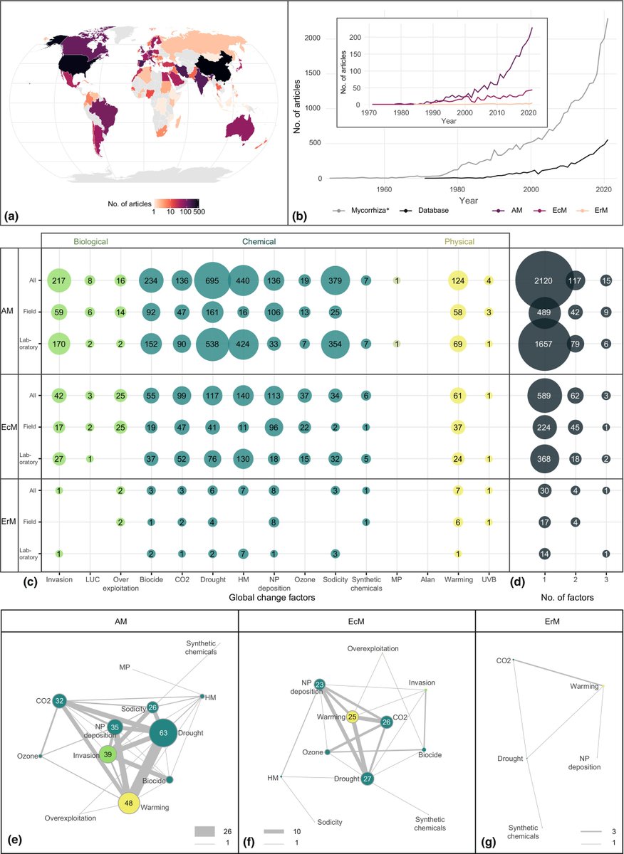 NewPhyt's tweet image. Research landscape of experiments on #GlobalChange effects on #mycorrhizas

A #Letter by Lehmann et al. 👇

📖 nph.onlinelibrary.wiley.com/doi/10.1111/np…

#LatestIssue @wileyplantsci