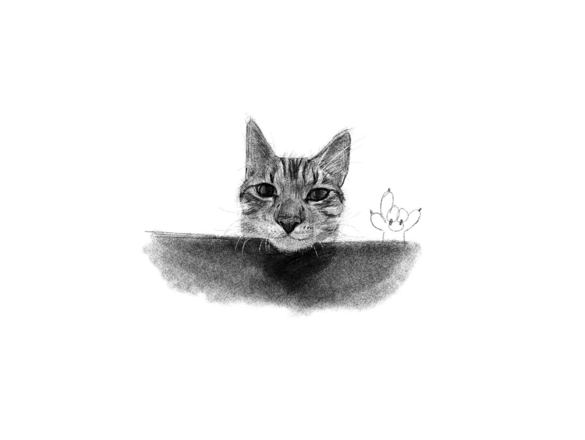 친구 고양이 그렸슨