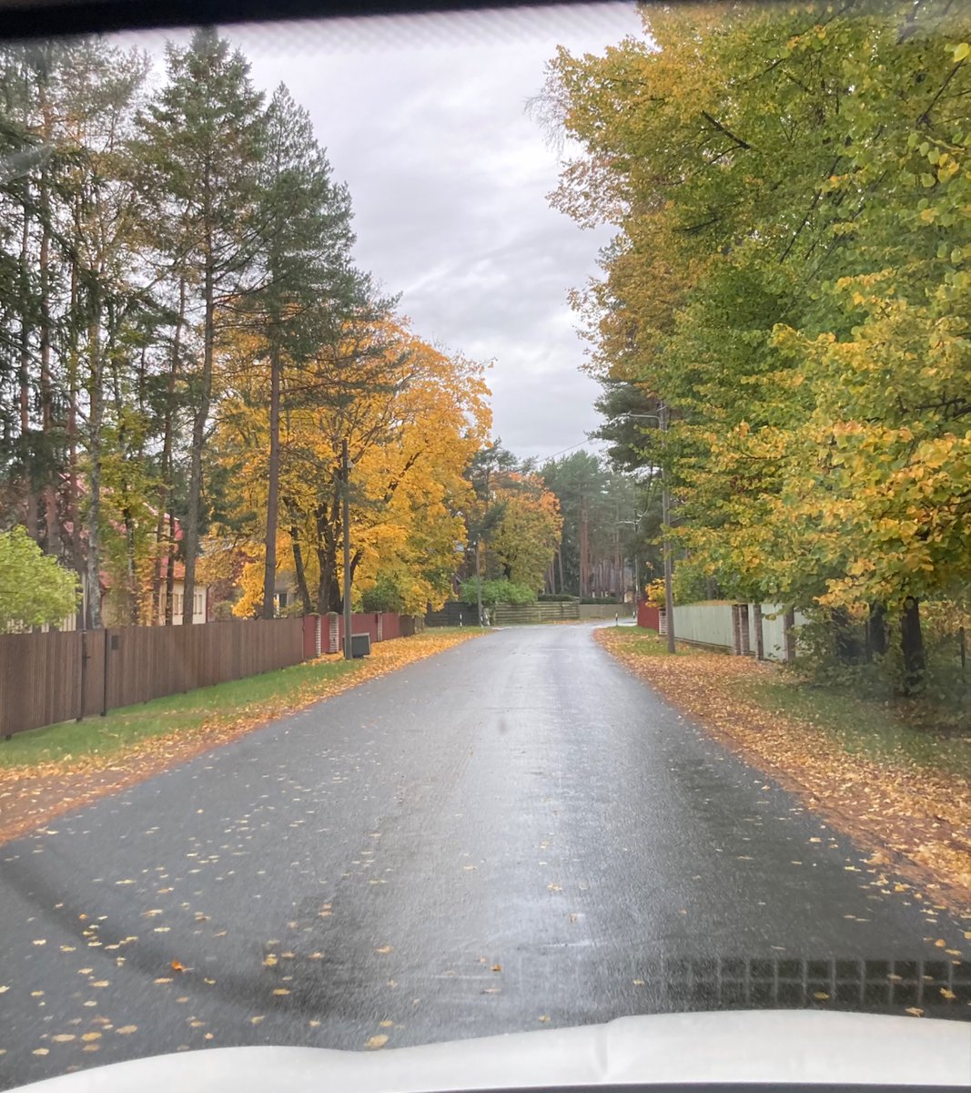 see on mu lemmik aastaaeg