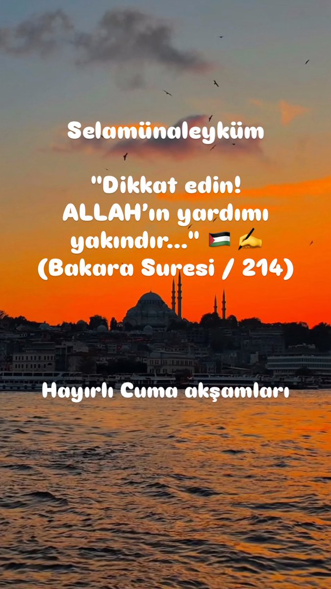 Selamünaleyküm
#HayırlıCumaakşamları
diliyorum
<a href="/KonakZafer/">ZAFER KONAK</a> <a href="/AbdulhadiOzatas/">Abdulhadi Özataş</a> <a href="/KutahyaYigit/">Abdullah yiğit Kütah</a> <a href="/muzaffer_blbl61/">Muzaffer Bülbül</a> 
<a href="/ImamCad/">Haci İmam ÇADIRCI</a> <a href="/SKAfridi_1/">Sajid Khan Afridi ساجد خان آفریدی</a> _
<a href="/Ziyafb4/">Ziyafb</a> <a href="/_bir63/">Mehmet</a> 
<a href="/dedesi_y/">Y.Selim'in dedesi</a> <a href="/mevliyaogluu/">Mehmet Evliyaoğlu</a> 
<a href="/adem_hosanli/">Adem HOSANLI</a> 
<a href="/hasantemur/">Hasan Aktemur.</a> <a href="/OsmanOsmanbzkrt/">osman bozkurt</a> <a href="/senolravzaa/">Şenol Kızılkaya</a> <a href="/YE_polat/">Yunus Emre Polat</a>
