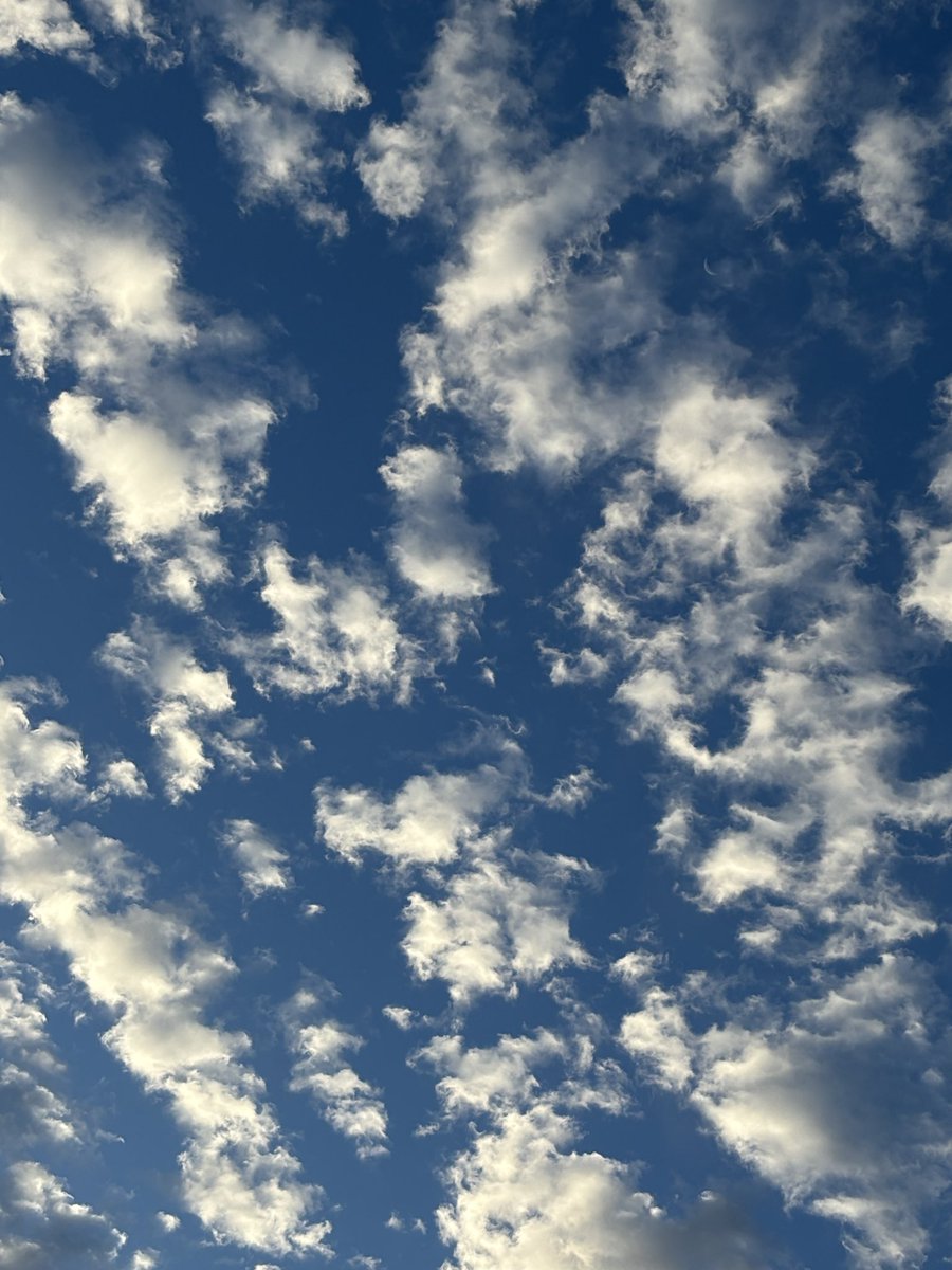 Dr. RungeKutta, MD, DO, PhD, RPh (@_rungekutta) on Twitter photo I’m loving the gov’t shutdown skies! Clear blue now, crisp air! I’m loving the gov’t shutdown skies! Clear blue now, crisp air!