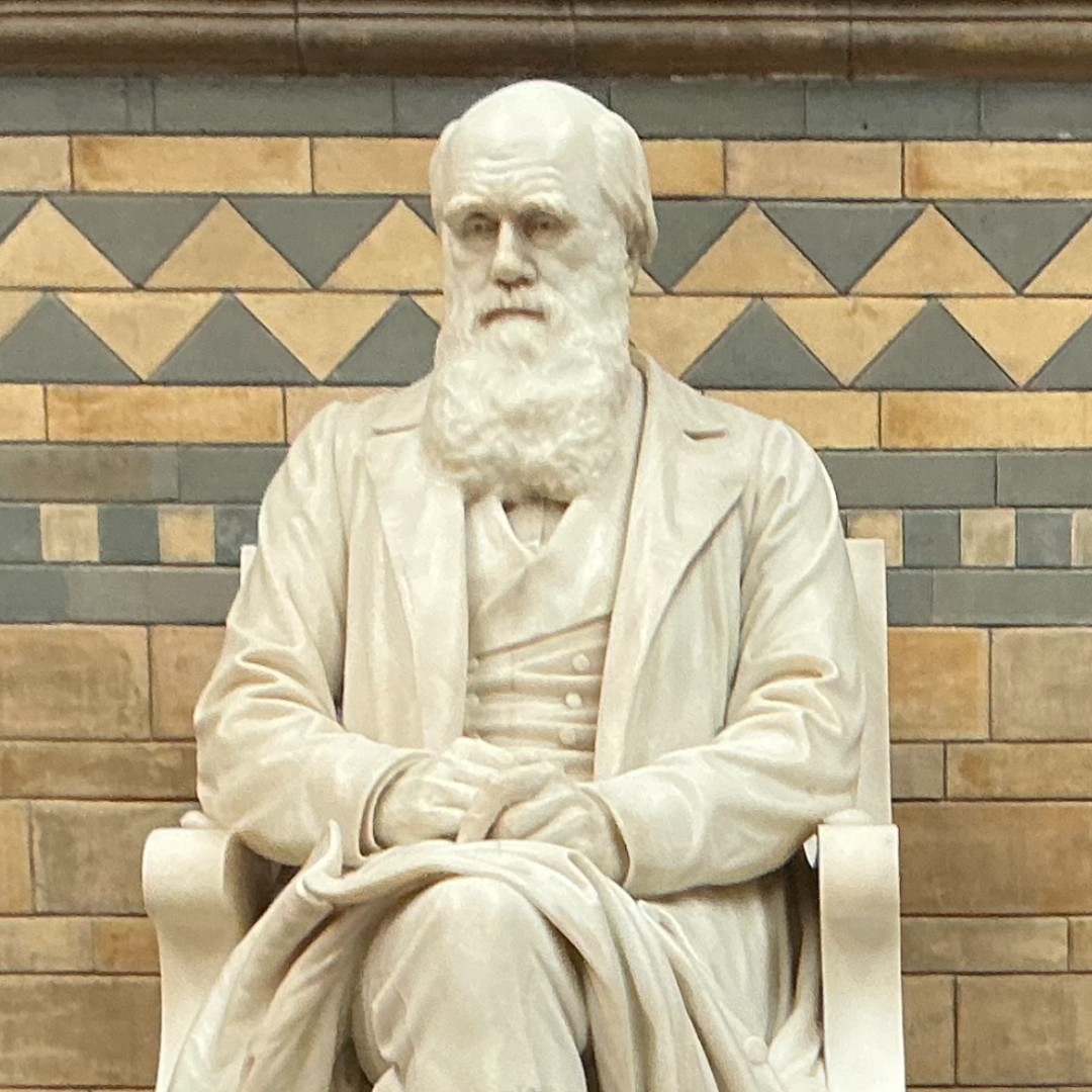 🌍What an amazing day at the Natural History Museum with our Year 11 students last week!🦖✨ From dinosaurs to evolution, the trip was filled with learning and fun! Huge thanks to everyone involved!

#PerryfieldsAcademy #Year11 #NaturalHistoryMuseum #ProudtobePerrys