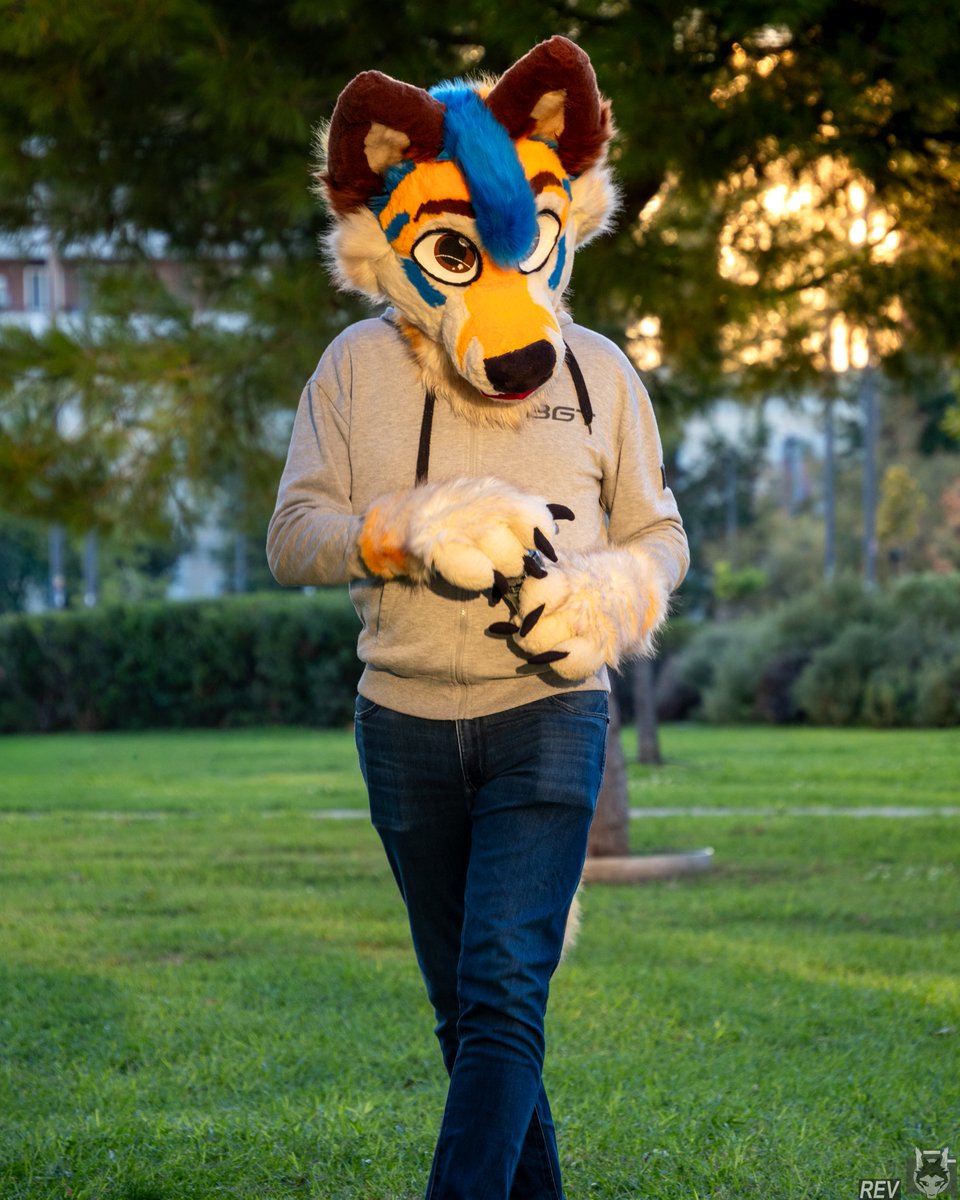 Zesty Zamy

@/zamylabirinto on insta🦊