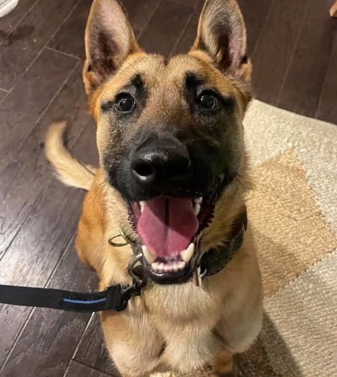 Fabulous Finn®️ tweet media