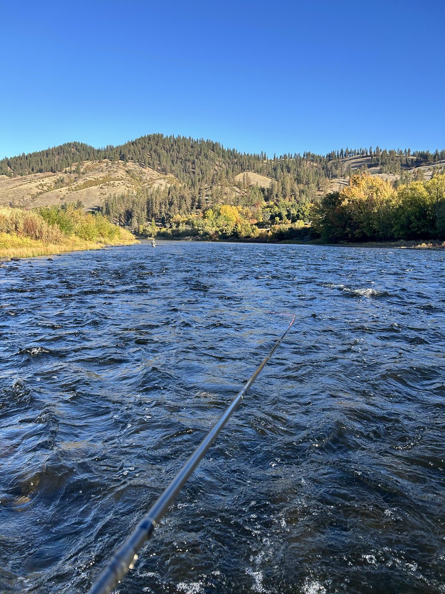 ce_dobbins's tweet photo. Trying to find the elusive steelhead on the Clearwater. https://t.co/ShUQvXJ6ob