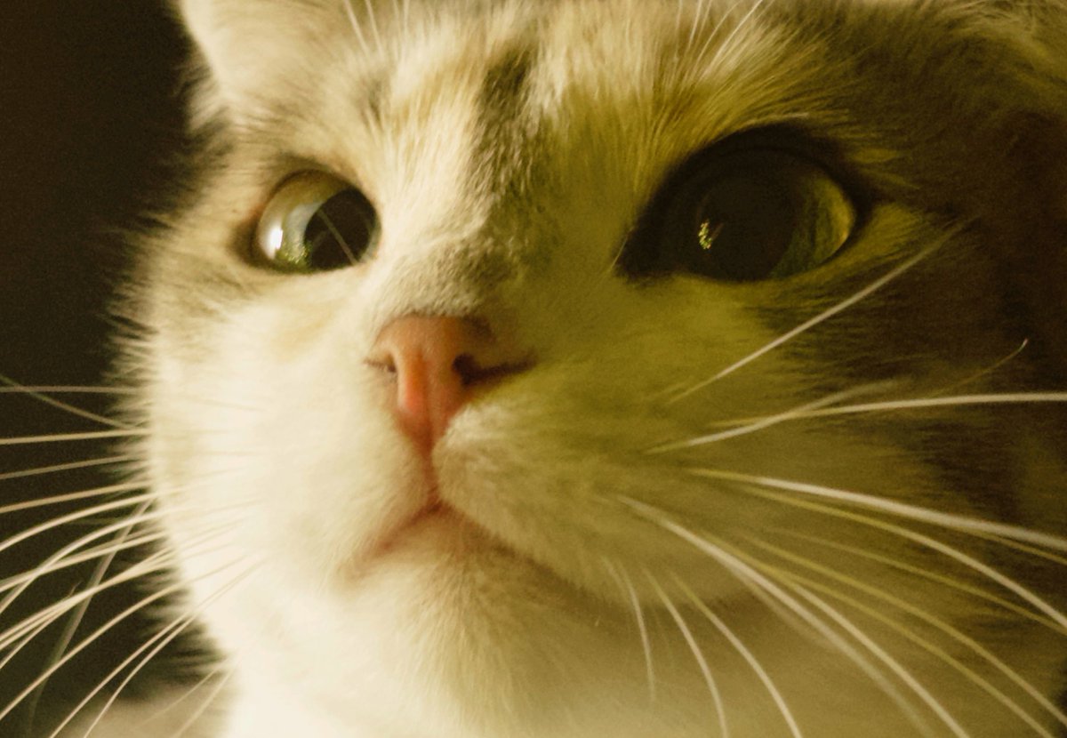 Anya (@searchsignal) on Twitter photo me and my model for these pieces just wanna say thanks so much <a href="/JackTezos/">Jack 🏴☠️</a> for collecting these two editions yesterday ❤️ me and my model for these pieces just wanna say thanks so much <a href="/JackTezos/">Jack 🏴☠️</a> for collecting these two editions yesterday ❤️