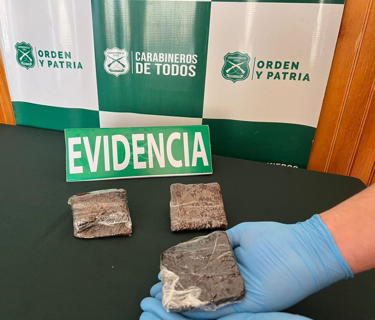CarabNuble's tweet image. #Chillán: Carabineros del #OS7 #Ñuble detuvo por microtráfico de drogas a mujer de 24 años que elaboraba y comercializaba &quot;brownies mágicos&quot; por redes sociales, y que pactaba entrega con compradores, entre ellos, escolares. Trabajo junto a Fiscalía Local, desarmó negocio ilícito.