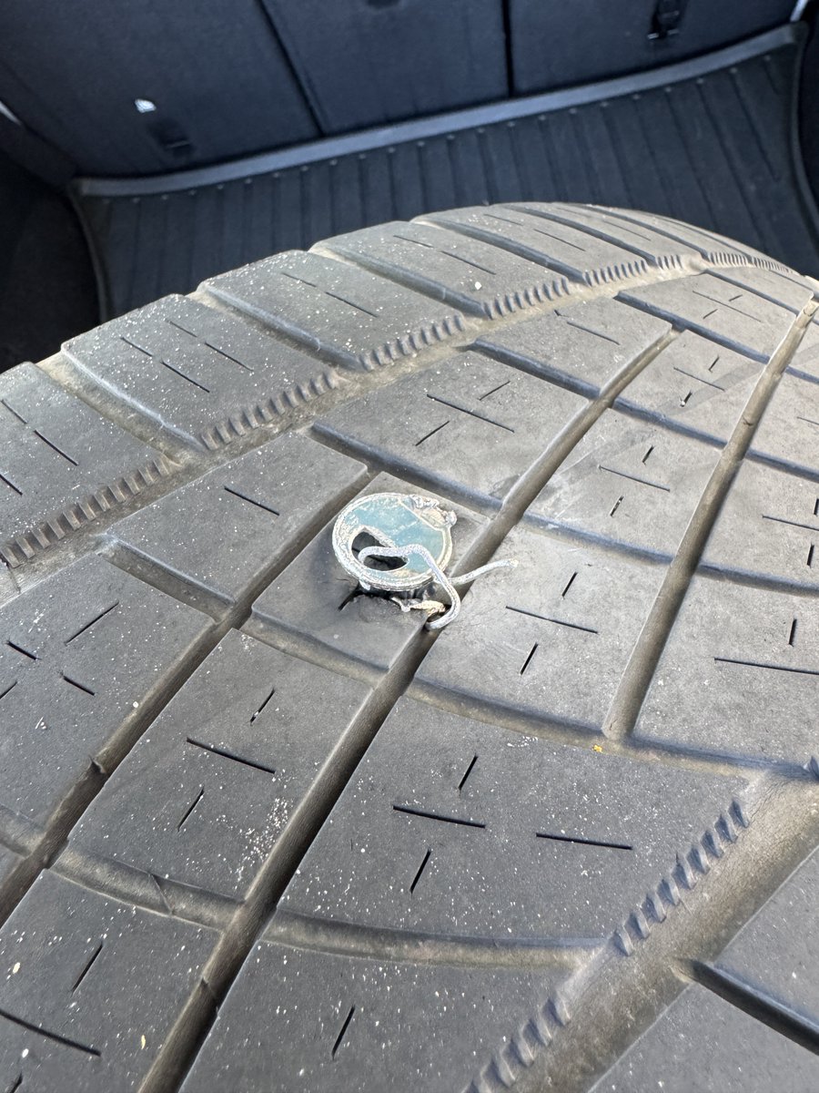 Changing my wife’s flat tire at a gas station, on the ground, floor jack, tools out.

A black walks up, asks if he can have 75 cents.

Ankle weights of civilization.