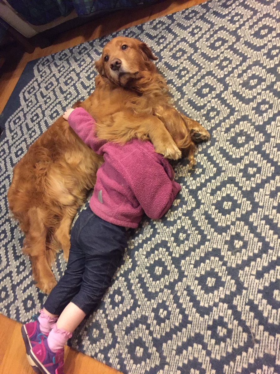 #ThrowbackThursday to the day in 2017 when Ernie and oldest granddaughter had an impromptu hugging session. 

I’d say it looks like Ernie “won,” but I think everybody wins with hugs! 😁

#BrooksHaven #GoldenRetriever #grc #dogcelebration #hug #BFFs