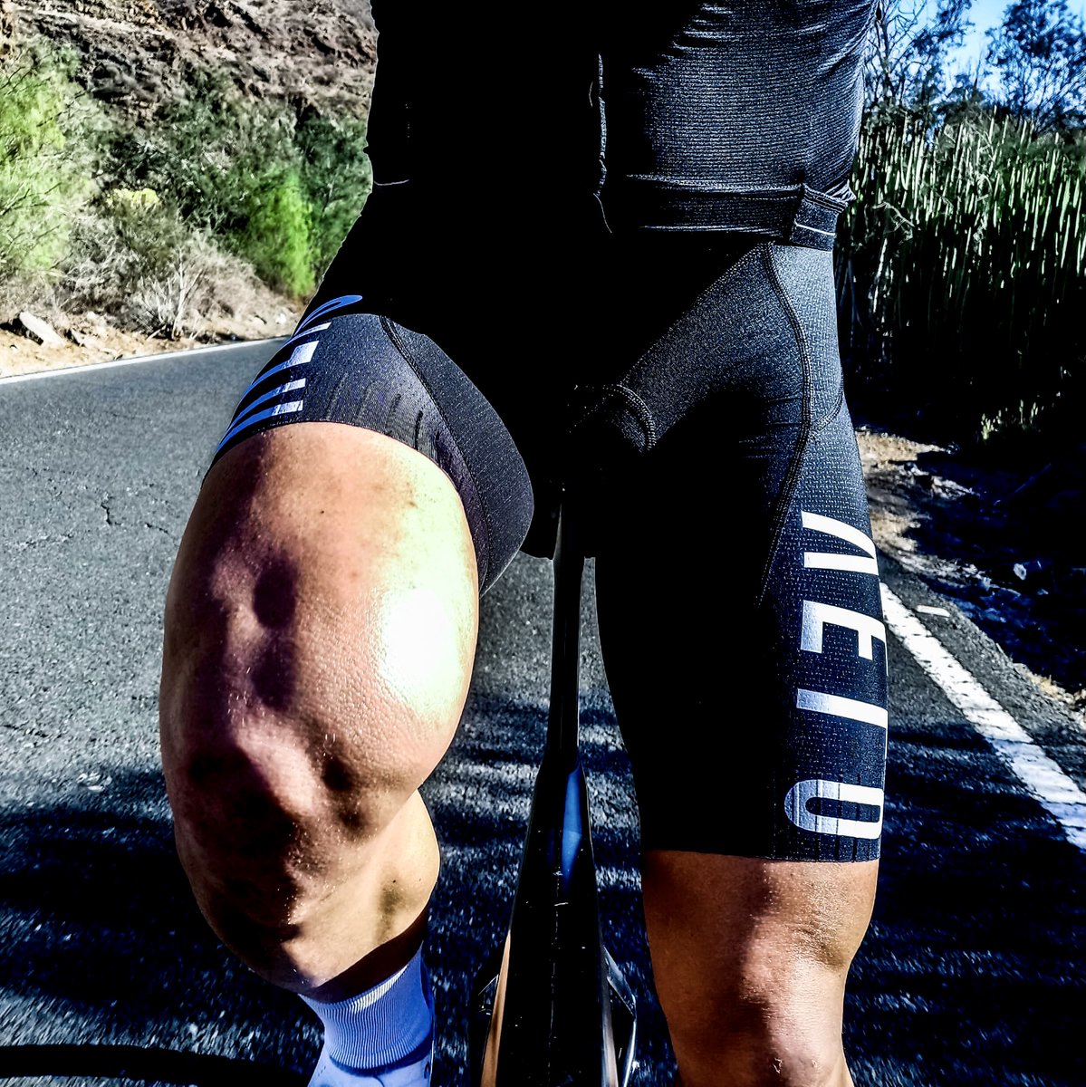 VELOREVOLUTION tweet media