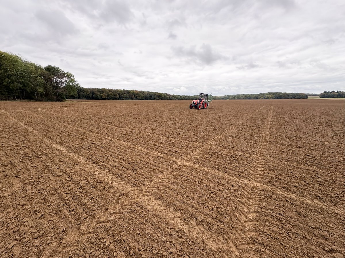 Groupe_ISSIPA's tweet image. 🚜 Les semis de céréales battent leur plein !
En ce mois d’octobre, cap sur les essais d’orge d’hiver et de blé 🌱
#Agriculture #Semis #Céréales