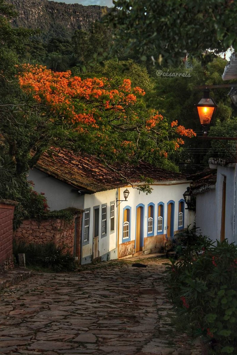 Atlantic Spirit (@atlantic_sprt) on Twitter photo 