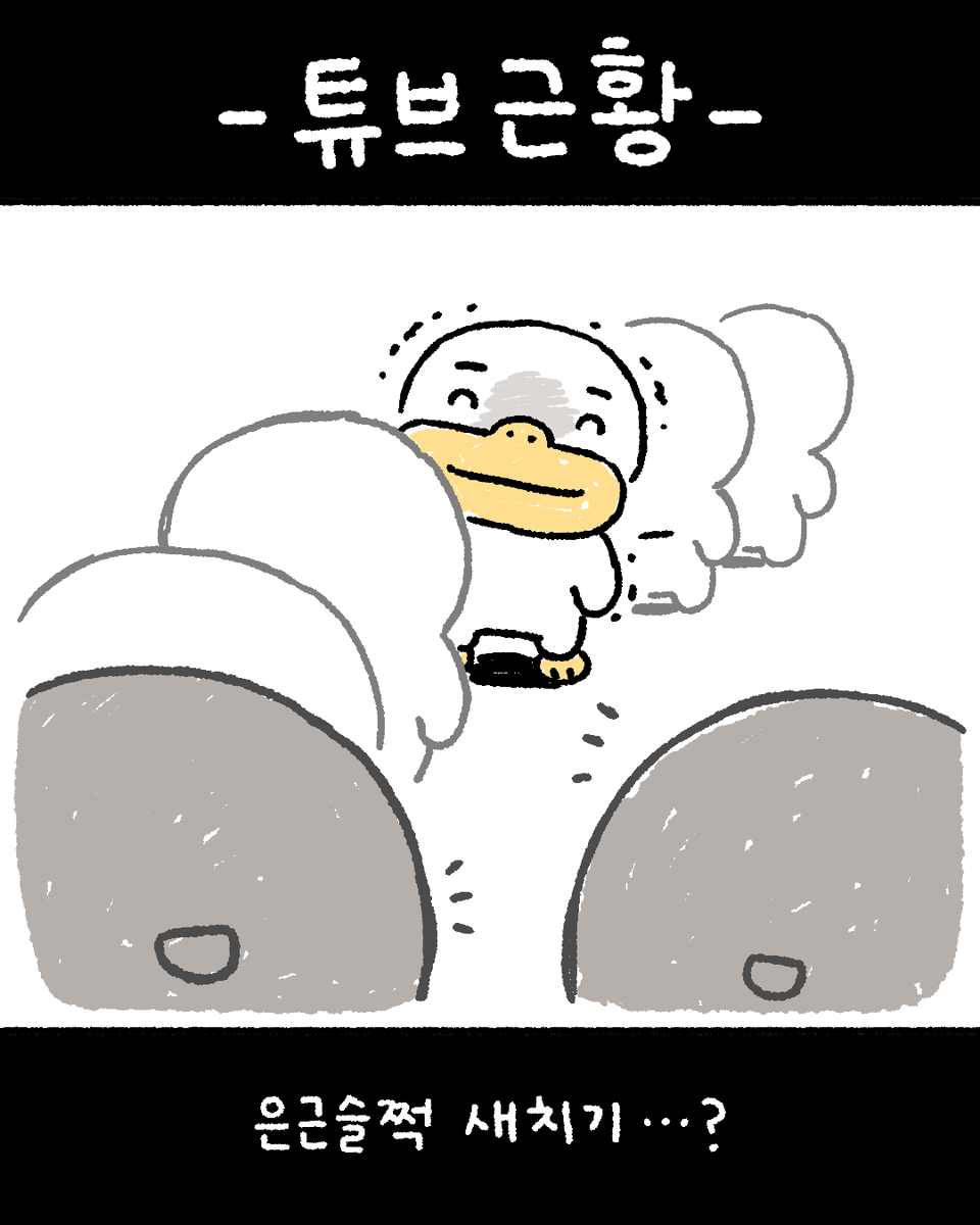 복심이 다이어리 tweet media