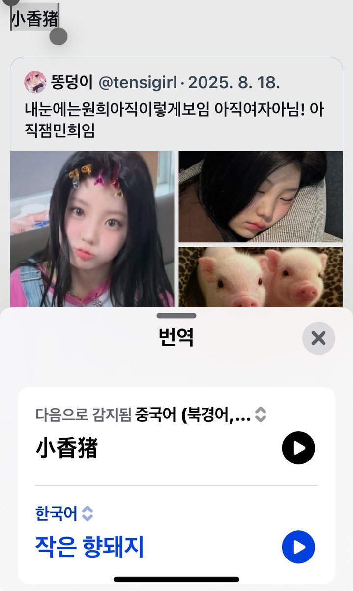 중글릿님들 원희사진에 남긴인용이너무웃겨 
원희너아기되지인거확인