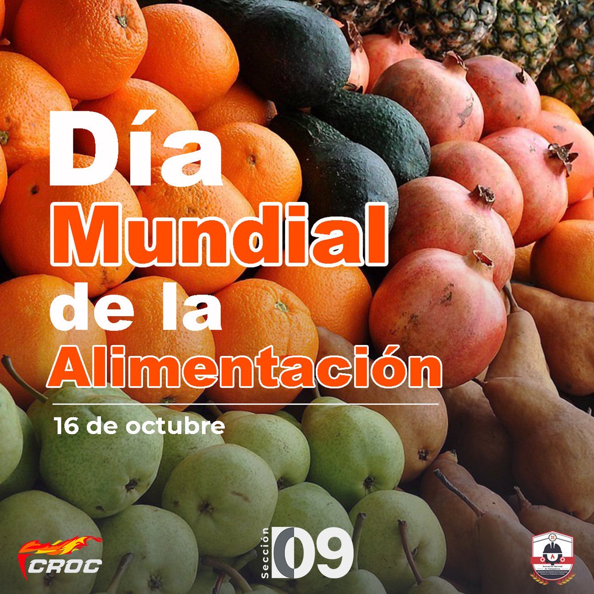 🍎 En la #Sección09 sabemos que alimentarse bien también es un derecho.

Cuidemos lo que consumimos y apoyemos la producción local para un futuro con comida justa y saludable para todos.

#DíaMundialDeLaAlimentación #FuerzaSocial
