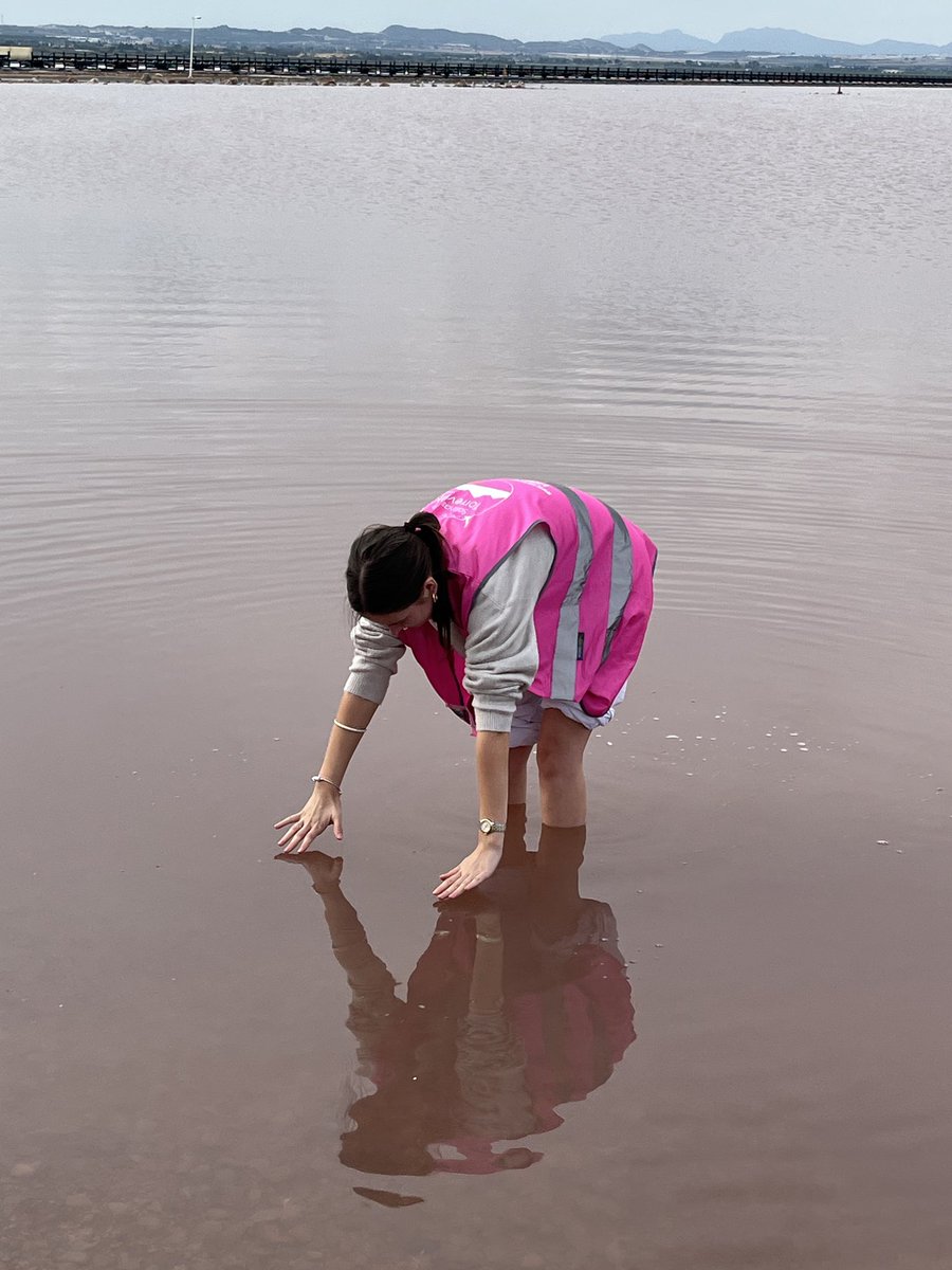 Ponteland MFL tweet media