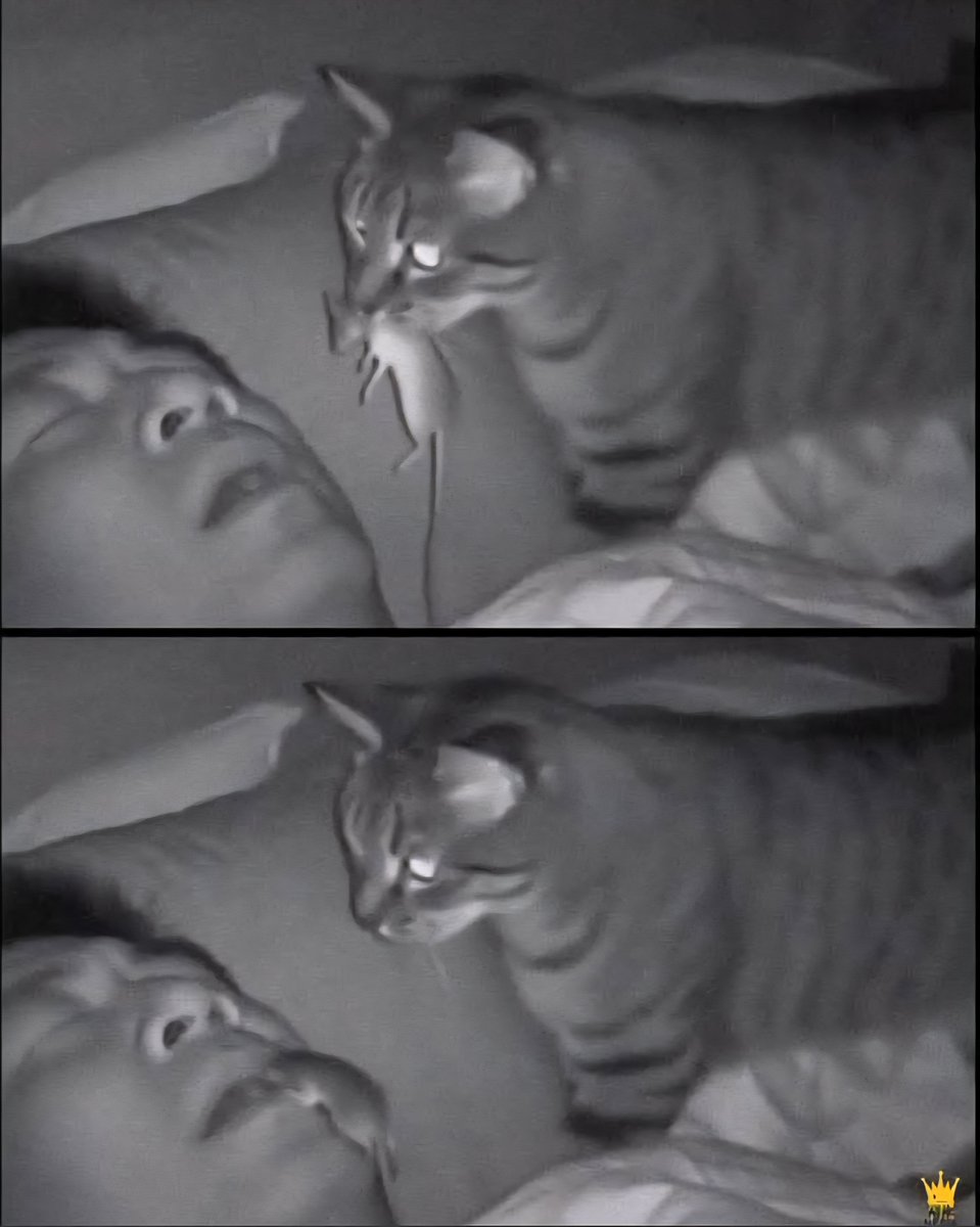 Oh Hamburgers tweet media