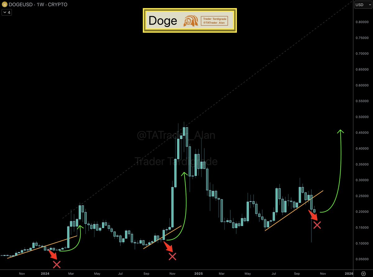Trader Tardigrade on X