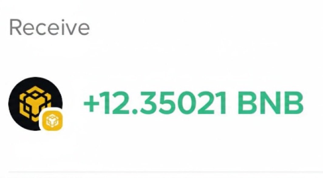 abudonkweb3's tweet image. Wow I got 12 #BNB  airdrop from Binance. This is the Binance culture.  
Anyone fudding Binance is a clown
Fck it, give away. 1 anon who like and retweet will get 12 $BNB (yes, for real) in 24hrs.