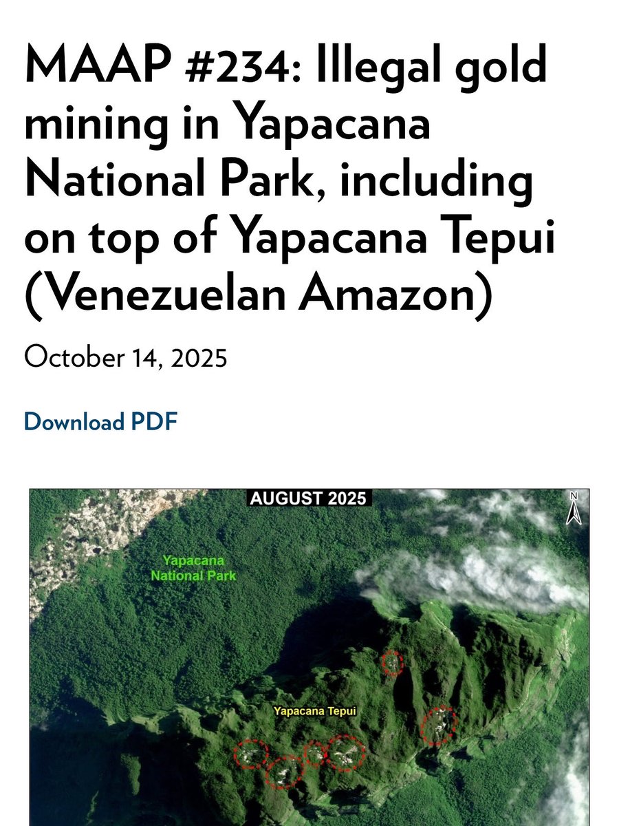 SOS Orinoco tweet media