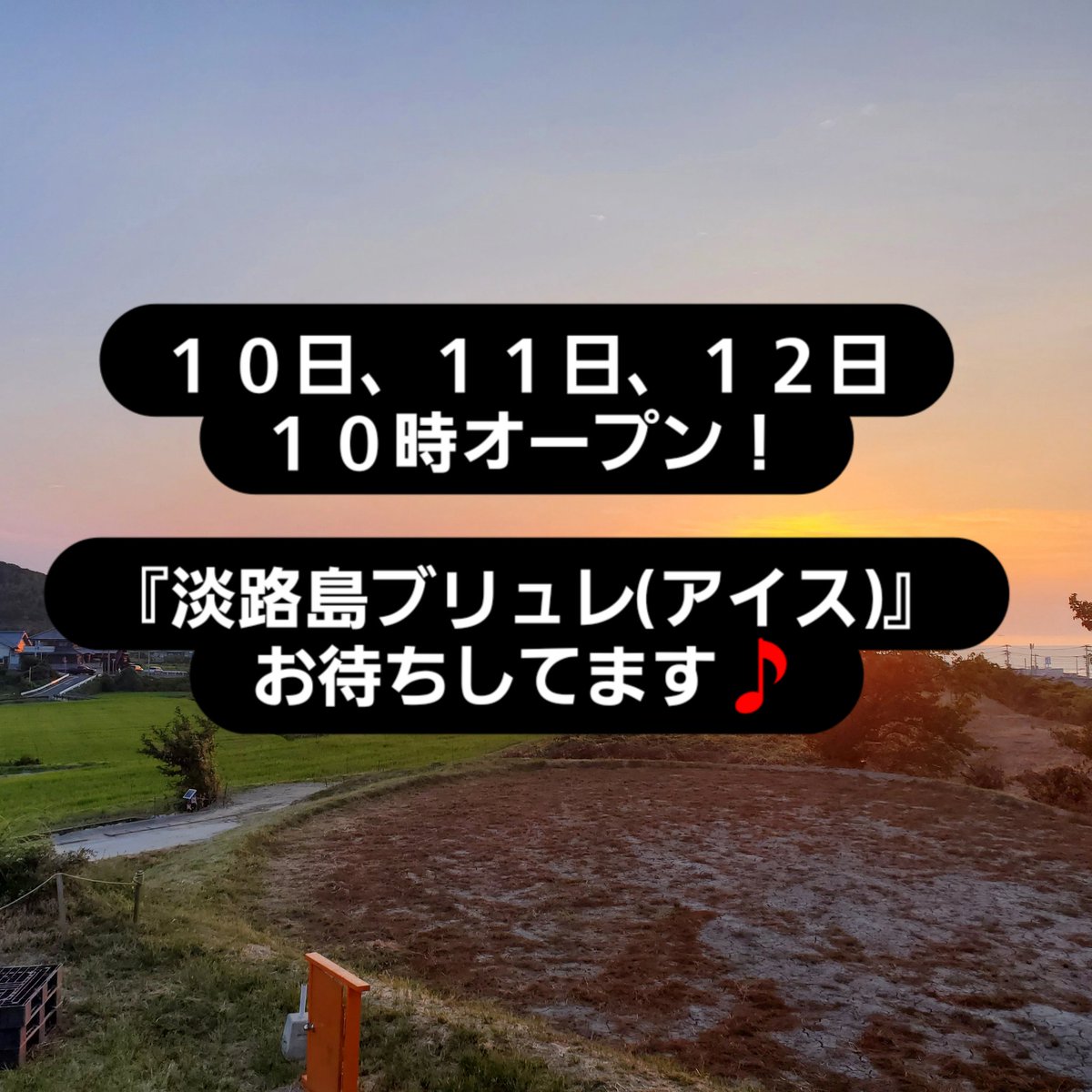 alubacmik's tweet image. 淡路島　#淡路島スイーツ　#淡路島ブリュレ
#アルバミック　#ブリュレ好きな人と繋がりたい