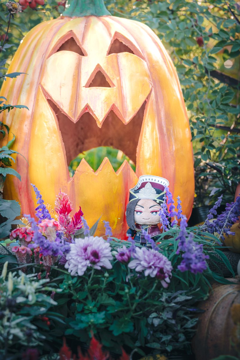 ハロウィンブースに立つおｼﾞｬﾐ最高に可愛い、小さな命🎃👻