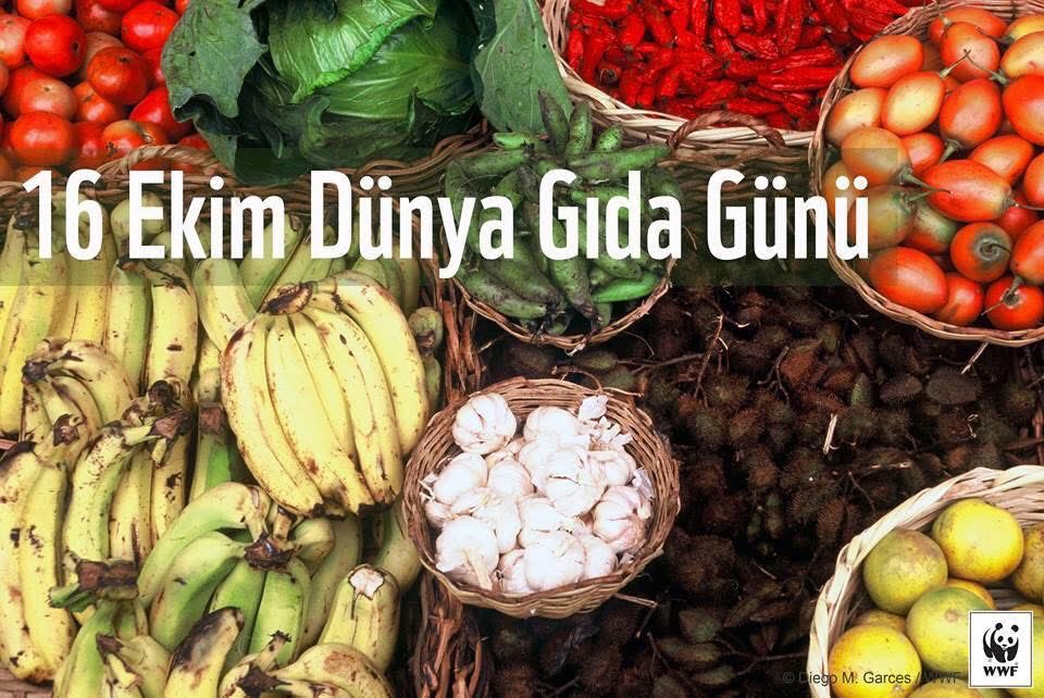 Tükettiğimiz gıdanın arkasında onu yetiştiren, hasat eden, üreten, taşıyan ve satan birileri var. Geleceğimizi çöpe atmayıp, değerlendirelim,  Daha yaşanabilir bir gelecek için bilinçli tüketelim, gıda israfını önleyelim🙏

16 Ekim #DünyaGıdaGünü kutlu olsun.