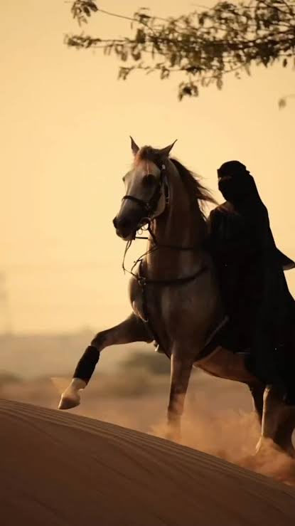 وشلون ما أهوى حروفٍ تغنّيه؟
وأنا على صدرك أفسّر مقالك

من يوم ناديت الحنين وغنّيت فيه
ذاب الصبر بين الهوى واحتلالك

إنت القصيد اللي سكنت معانيه
وإنت الشعور اللي سكن في خيالك

قل لي، وأنا بالصدق كلّي ألبّيه
دام الوفا يمشي على منوالك
