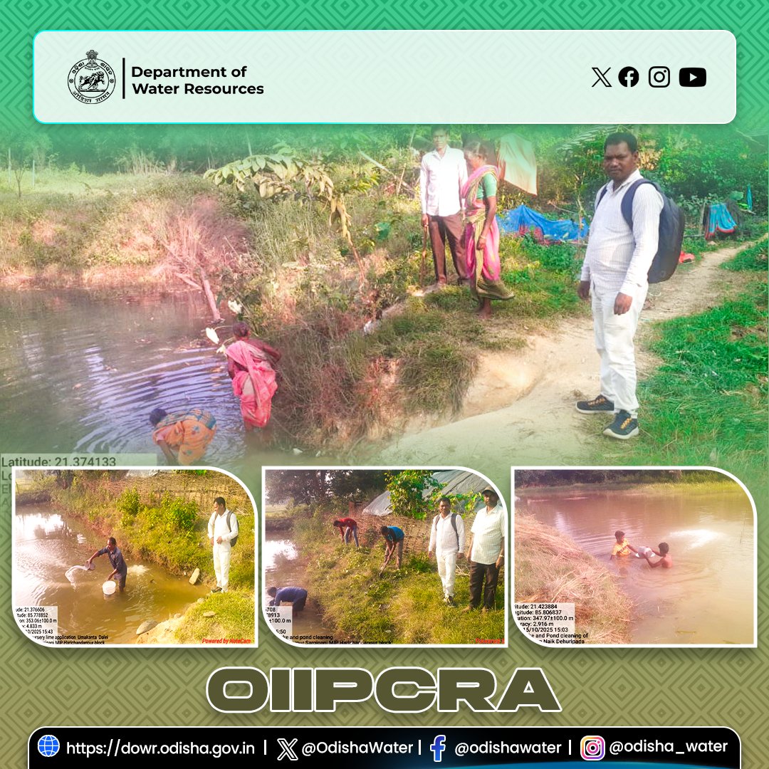 Four prawn nursery dykes and ponds were cleaned, and lime was applied in Sargipani MIP, Harichandanpur Block, and Kalimati, Ghatagaon Block of #KeonjharDistrict. 🦐💧 #OdishaWater #OIIPCRA #Aquaculture #FisheriesDevelopment

<a href="/CMO_Odisha/">CMO Odisha</a> <a href="/DC_Odisha/">Office of Development Commissioner, Odisha</a> <a href="/_anugarg/">Anu Garg</a> <a href="/IPR_Odisha/">I & PR Department, Odisha</a>