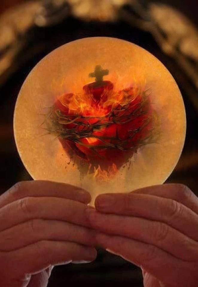 O most Sacred, most loving Heart of Jesus, you are concealed in the Holy Eucharist, and you beat for us still..O make my heart beat with your Heart- St John Henry Newman. Please comment, 'Jesus, I love You!' and share.