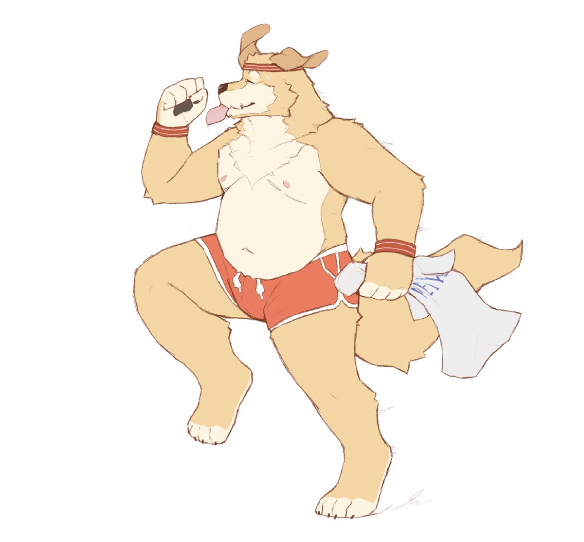 professor_fluff's tweet photo. Sweaty doggy on a jog https://t.co/mn8Jb9iZVV