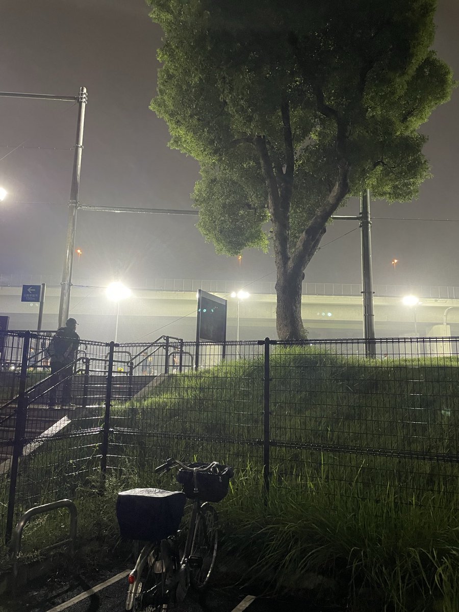 今日の最後はここ！
高速道路、モノレール線路の下で磨かれる