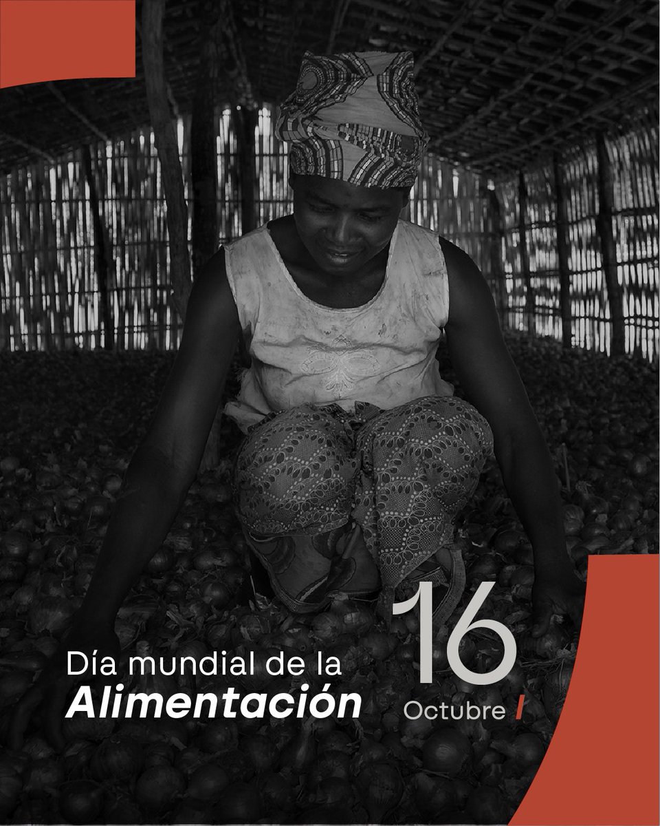 🌾 Impulsamos el Derecho Humano a la Alimentación, sistemas agroalimentarios sostenibles y resistentes al cambio climático
En crisis alimentarias o humanitarias, trabajamos para garantizar alimentos seguros y nutritivos
@cooperacionesp #somoscooperacion
