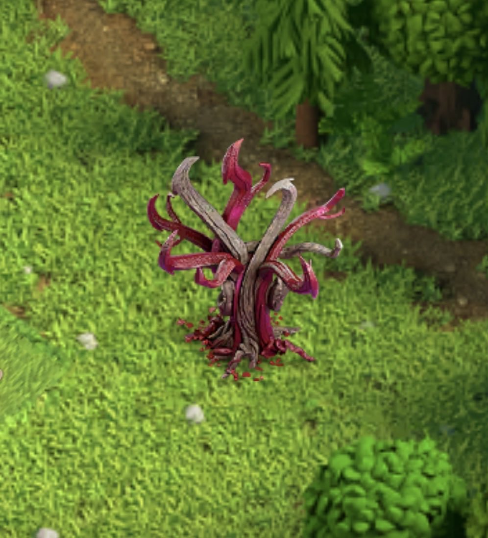 Wolfi‘s Home | BB tweet media