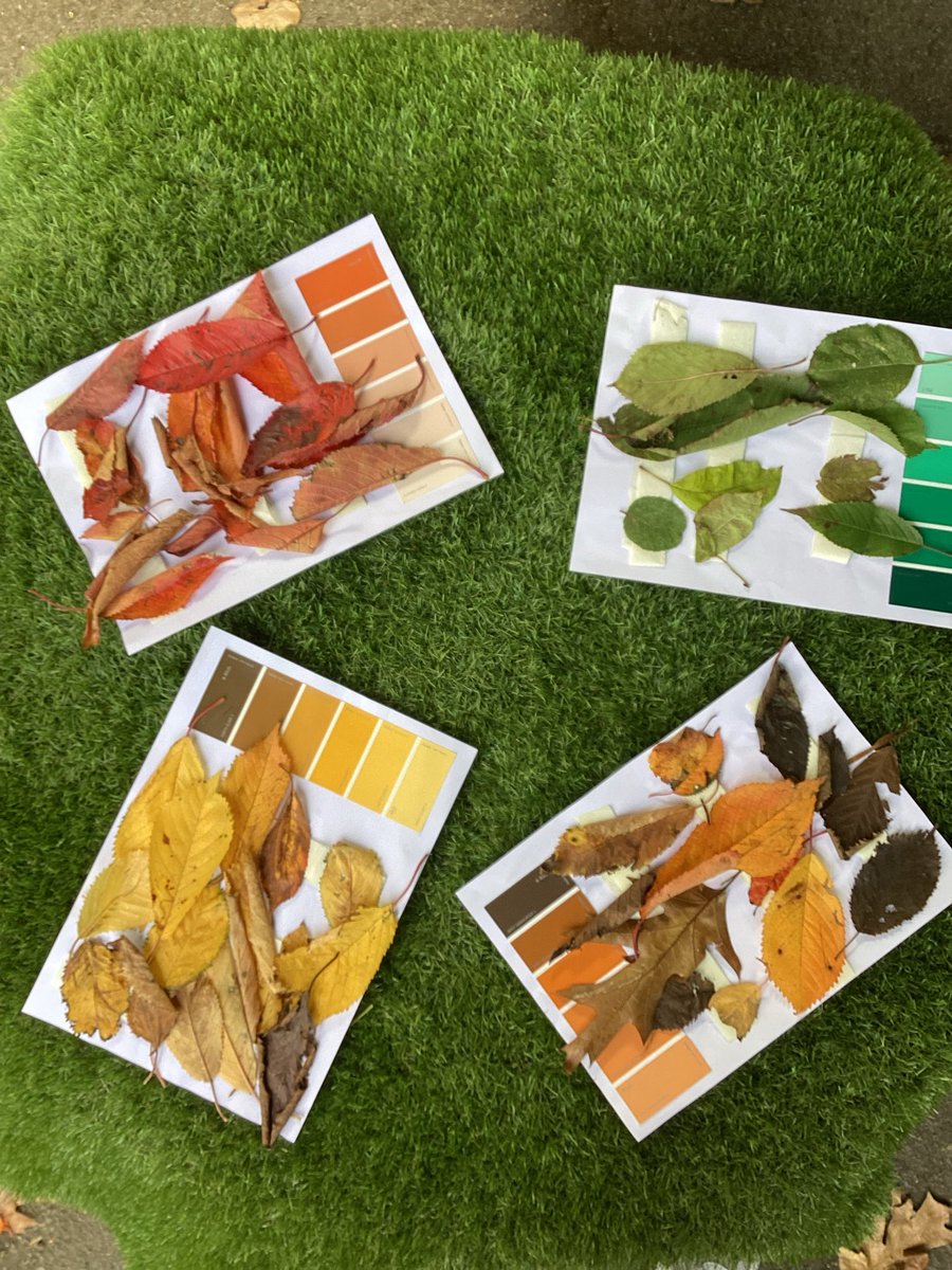 Nursery tweet media