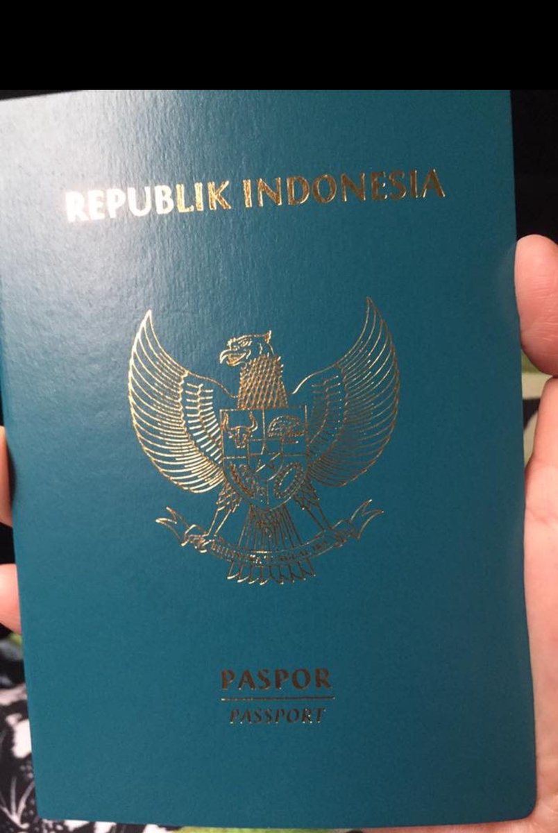 Sorry. Let’s compare with your own passport. Indonesia vs Singapore hahahah kesian tersidai dekat immigration most of the time