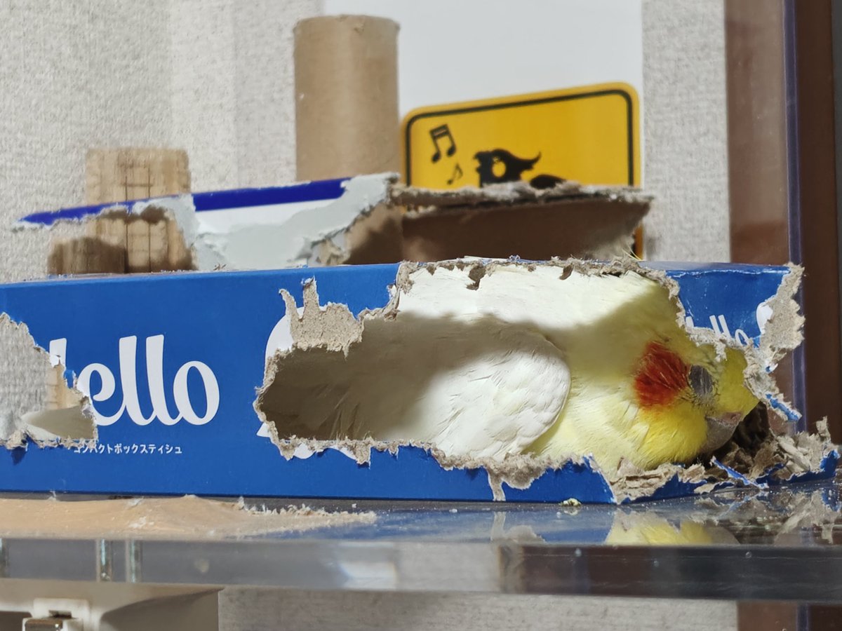 ぽてぽてちゃんねる (@PotePoteChannel) / X