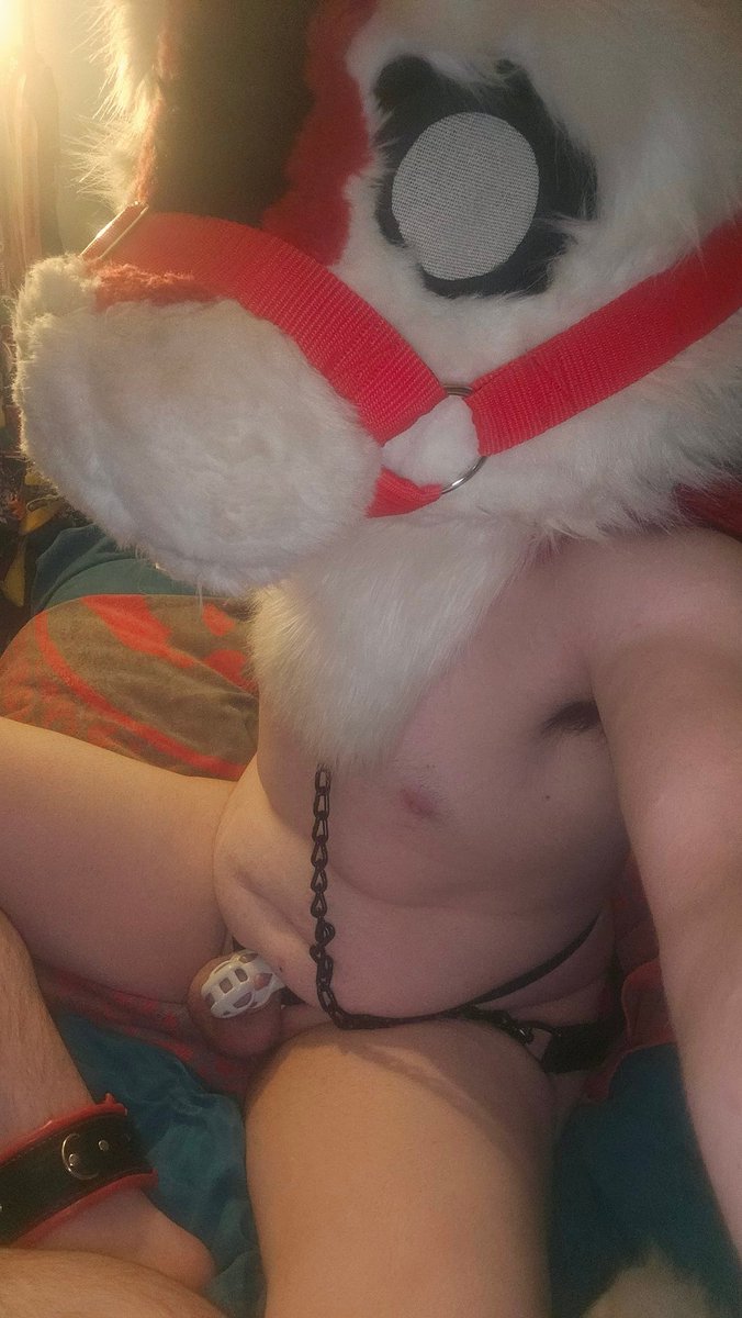 Who is gonna come grab me during #Doggyweekend ? I'll be around all weekend so dont be afraid to leash and drag me away ;)