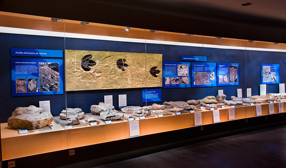 ¡Hoy es el Día del Fósil! En el MUJA los celebramos el fin de semana con:

📍Taller “Iguanodon: 200 años de su descripción”, el sábado 18 y domingo 19

📍Taller de fósiles con el equipo científico, el domingo 19 (plazas agotadas para el día 18)

ℹ️museojurasicoasturias.com/agenda