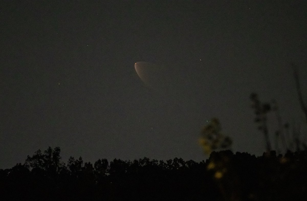 Starlink Group 10-52